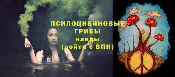 амф Елабуга