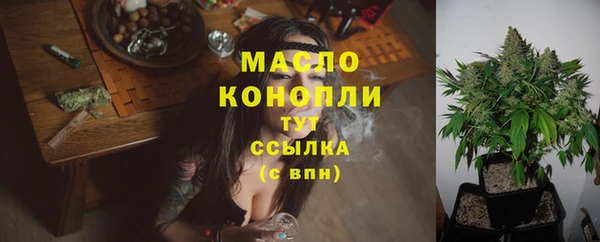 первитин Ельня
