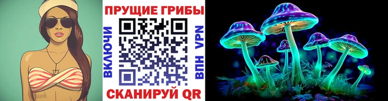маркетплейс официальный сайт  Сысерть  Псилоцибиновые грибы ЛСД 
